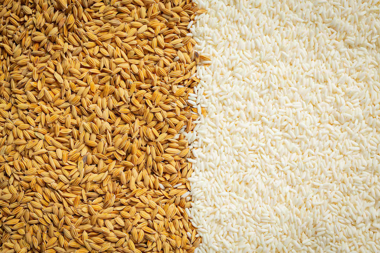 Rice & Wheat